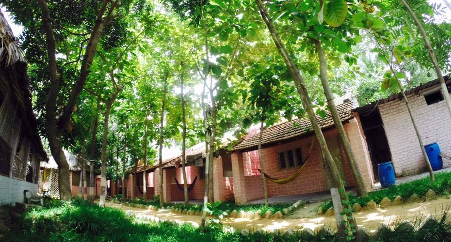 K C Guest House, Hampi 3
